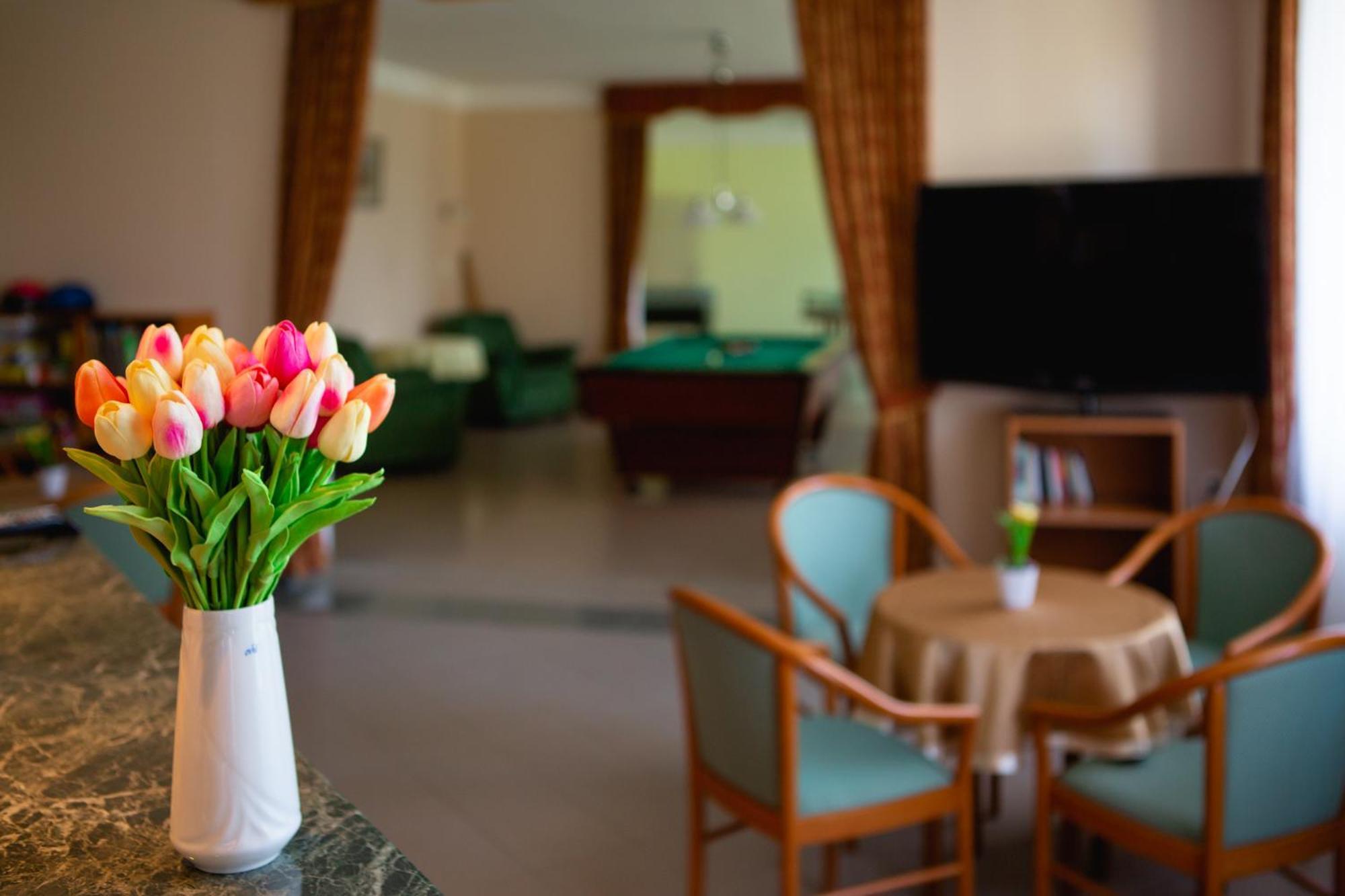 Hotel Ovit Кестхей Екстер'єр фото